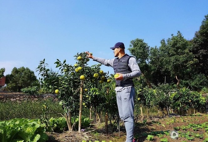 'Đệ nhất Thiếu Lâm’ Nhất Long nói về đối thủ mạnh nhất - ảnh 2