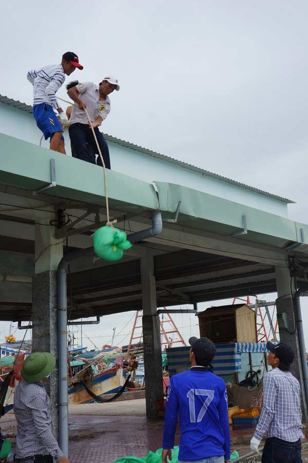 145 tàu thuyền Cà Mau trú bão Tembin tại Malaysia và Thái Lan - ảnh 1