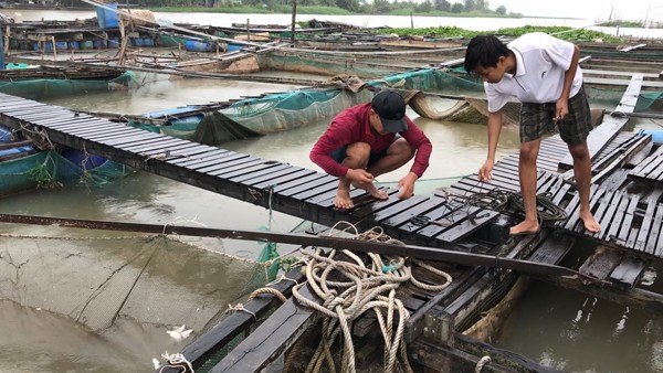 Cần Thơ chỉ đạo không để tăng giá hàng hóa sau bão - ảnh 1
