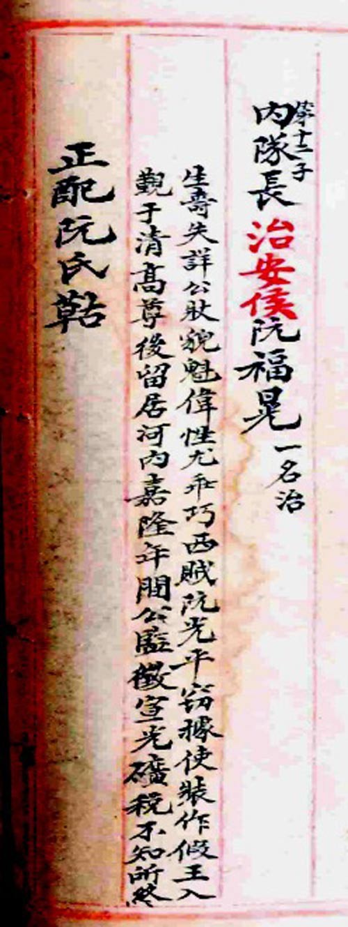 Cuộc đời vua Quang Trung - ảnh 1