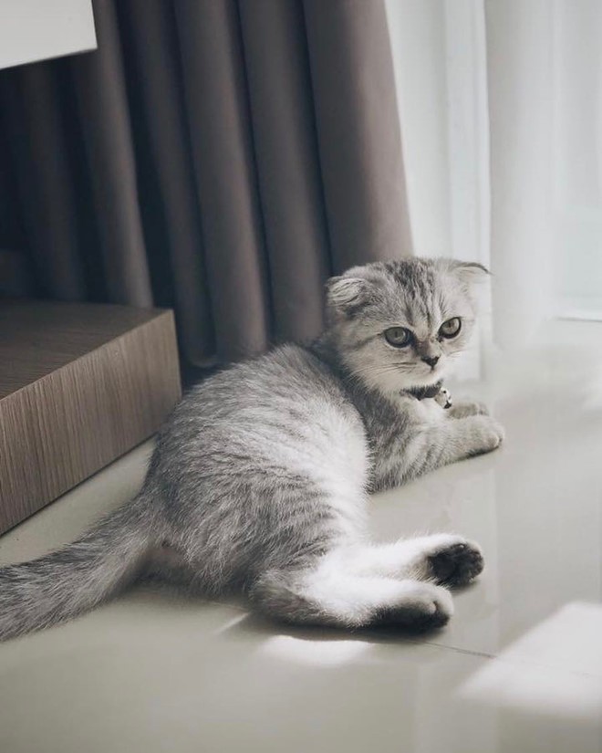 Nhìn gần cô gái xinh đẹp được cho là bạn gái mới của Soobin Hoàng Sơn - ảnh 2