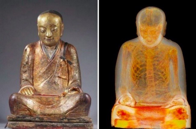 6 phát hiện cho thấy thế giới còn vô vàn bí ẩn thách thức giới khoa học - ảnh 3