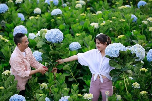 MC Nguyễn Hoàng Linh ngọt ngào tình tứ bên bạn trai - ảnh 7
