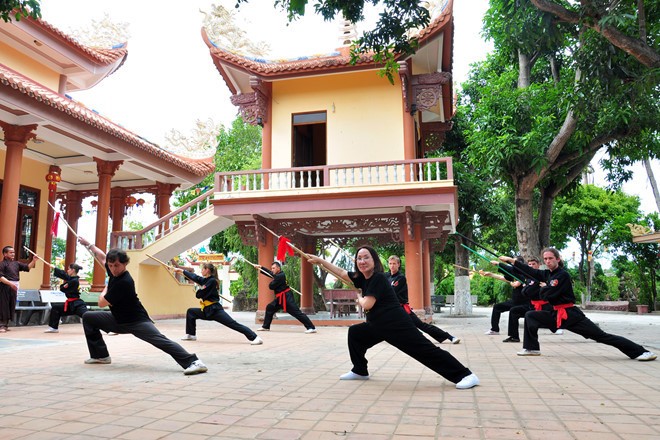 Bất ngờ với đề xuất gộp võ cổ truyền và Vovinam thành Vovietnam - ảnh 1