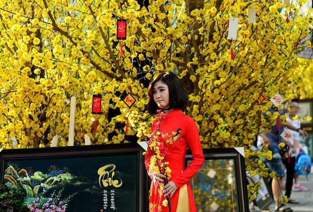 phố ông đồ - ảnh 15