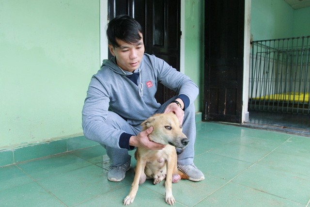 Ước mơ của chàng trai cứu hơn 200 con chó hoang, bệnh tật mỗi năm - ảnh 2