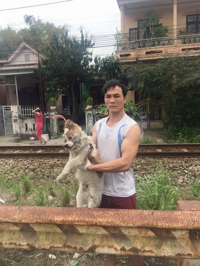 Ước mơ của chàng trai cứu hơn 200 con chó hoang, bệnh tật mỗi năm - ảnh 3