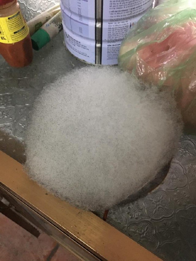 Bi hài, Sinh viên giật mình thấy cây chuối mọc giữa phòng - ảnh 5