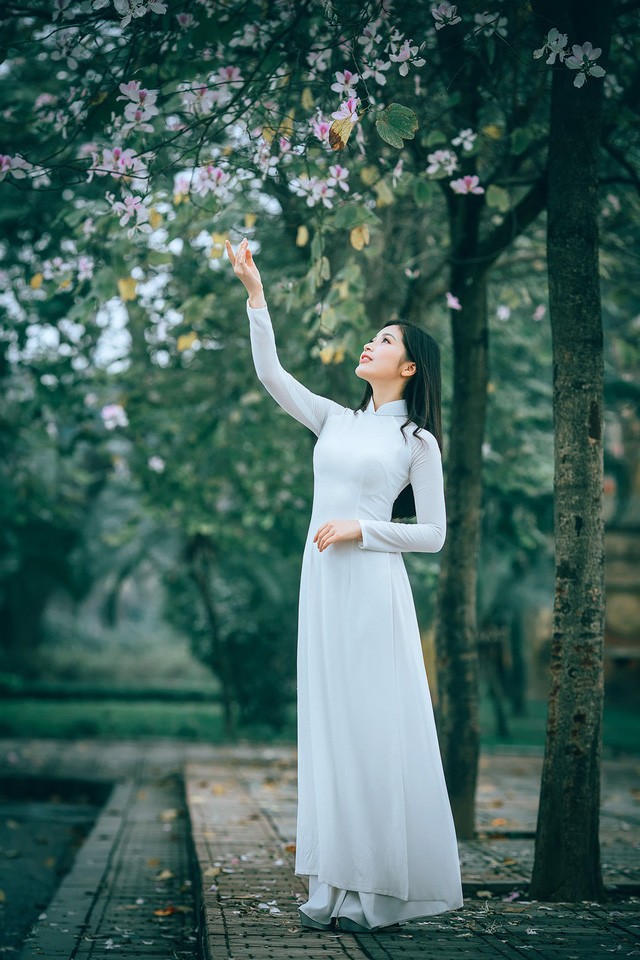 Nữ sinh Hà thành ngọt ngào bên sắc hoa ban - ảnh 9