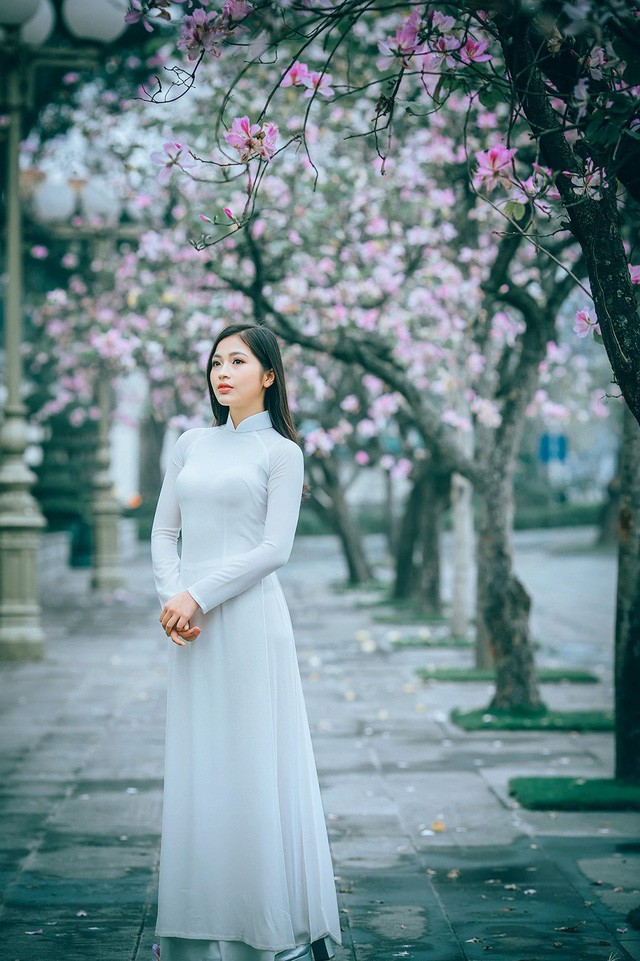 Nữ sinh Hà thành ngọt ngào bên sắc hoa ban - ảnh 1