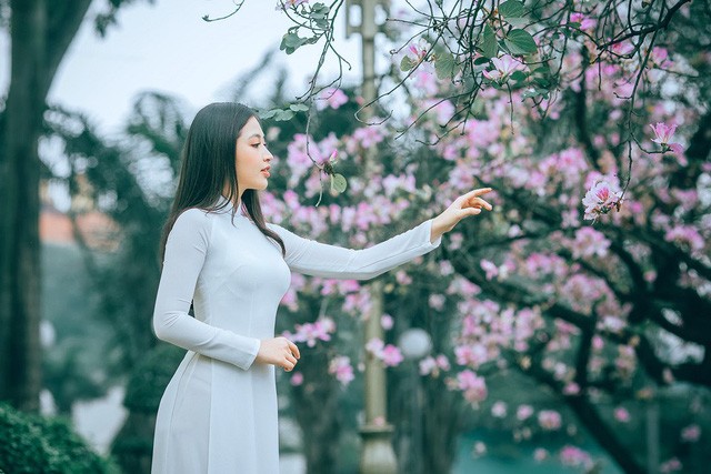 Nữ sinh Hà thành ngọt ngào bên sắc hoa ban - ảnh 3