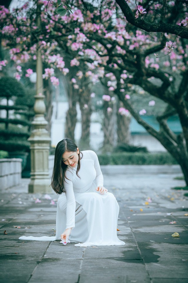 Nữ sinh Hà thành ngọt ngào bên sắc hoa ban - ảnh 6