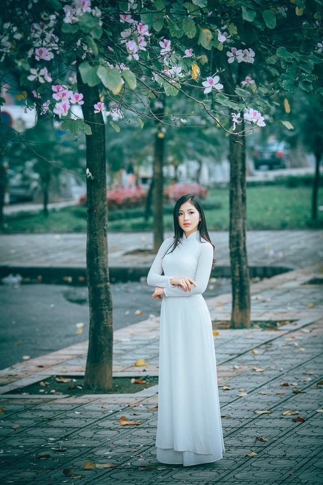 Nữ sinh Hà thành ngọt ngào bên sắc hoa ban - ảnh 8