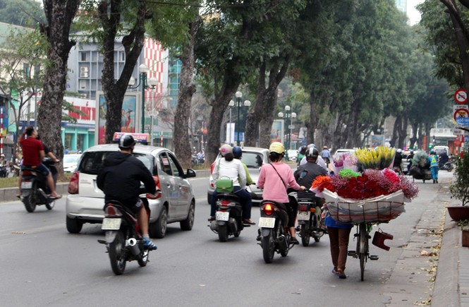 Đại gia đình bán hoa rong mỗi ngày đạp xe 50 km kiếm sống - ảnh 5