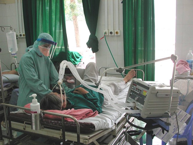 SARS 2003 - ảnh 1