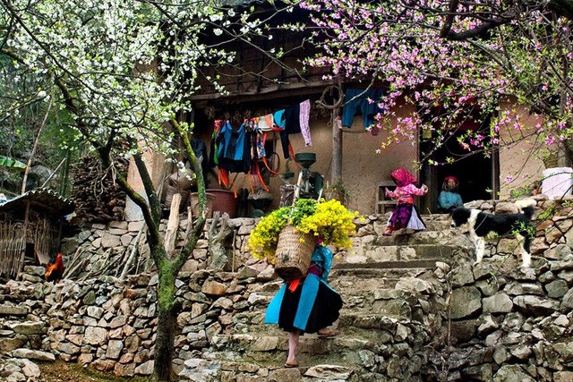 Sapa - ảnh 1