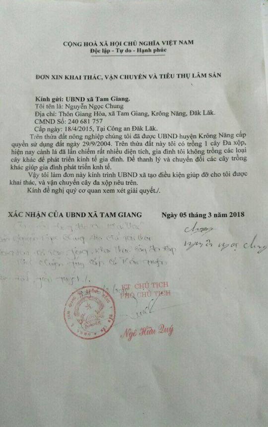 Cây 'quái thú' bị tạm giữ tại Thừa Thiên Huế có nguồn gốc ở đâu? - ảnh 1