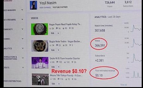 Lý do bất ngờ của nghi phạm vụ xả súng tại trụ sở chính của Youtube - ảnh 1