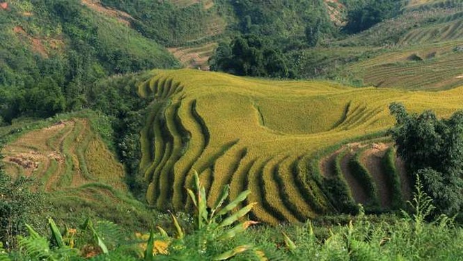 10 điểm đến đẹp nhất Việt Nam theo báo Mỹ - ảnh 4