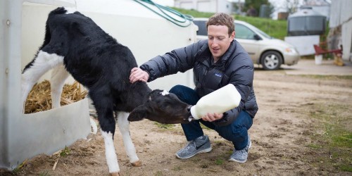 Facebook tốn hàng triệu USD bảo vệ Mark Zuckerberg mỗi năm - ảnh 1