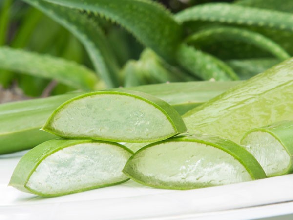 Những mẹo trị da rám nắng siêu tốc mùa hè - ảnh 1