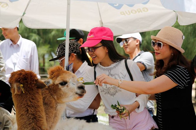 Những thiên đường cho bé tại chuỗi FLC Hotel & Resort dịp 1/6 - ảnh 3