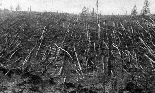 Kinh hoàng vụ nổ Tunguska mạnh gấp 1.000 lần bom nguyên tử - ảnh 1