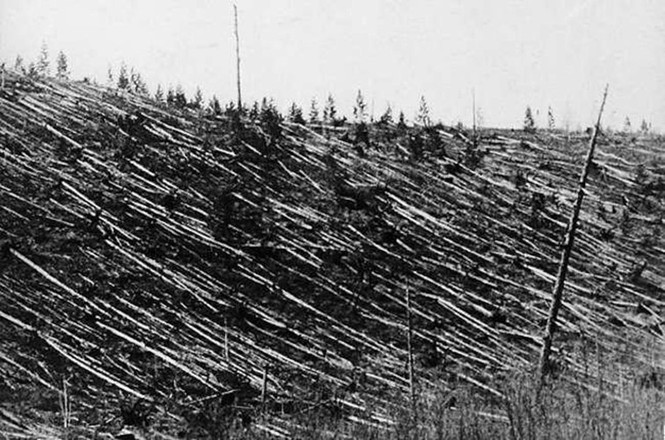 Kinh hoàng vụ nổ Tunguska mạnh gấp 1.000 lần bom nguyên tử - ảnh 2