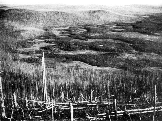 Kinh hoàng vụ nổ Tunguska mạnh gấp 1.000 lần bom nguyên tử - ảnh 3