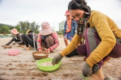 Agribank Lý Sơn - 10 năm hoạt động kinh doanh hiệu quả - ảnh 1
