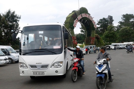 'Cò đặc sản' Đà Lạt lại bùng phát - ảnh 1