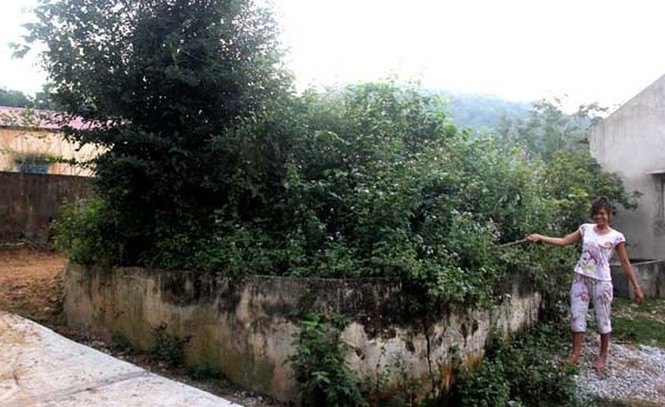 Ly kỳ người phụ nữ bị hổ ăn thịt biến thành 'ma trành' ở Thanh Hóa - ảnh 3