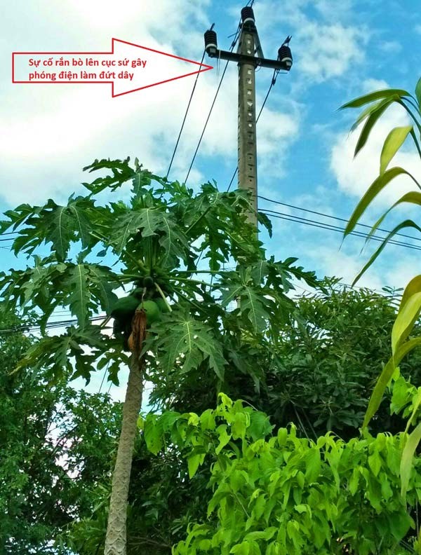 'Dâu đời mới' của gần 4 triệu khách hàng - ảnh 2