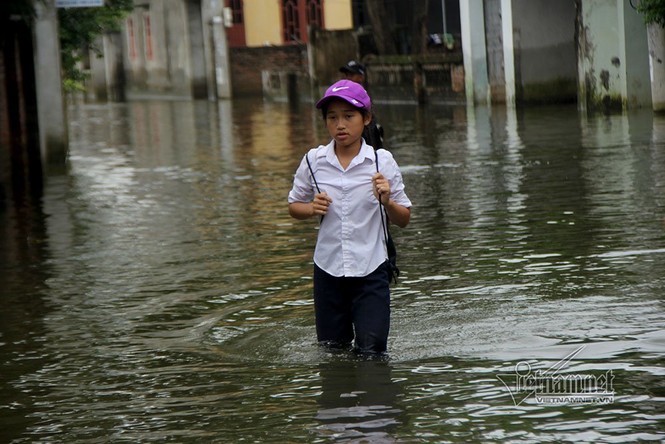 Ngày 2 lượt, học sinh Hà Nội leo cây trèo nóc nhà đi học - ảnh 12
