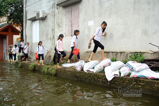 Ngày 2 lượt, học sinh Hà Nội leo cây trèo nóc nhà đi học - ảnh 7