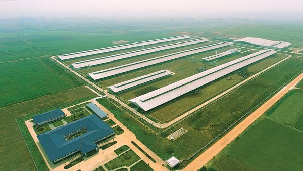 Vinamilk mở rộng đầu tư vào miền Tây Nam Bộ - ảnh 2