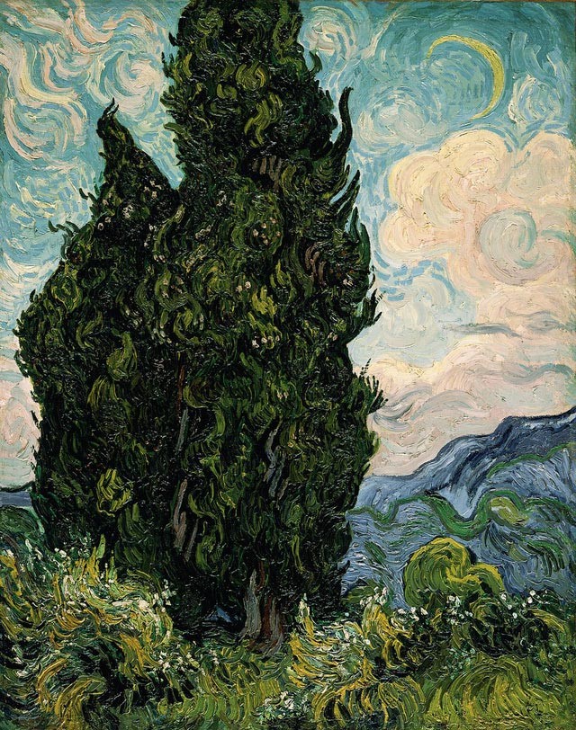 Ngay trước khi tự sát, Van Gogh đã 'suýt' trở thành danh họa - ảnh 1