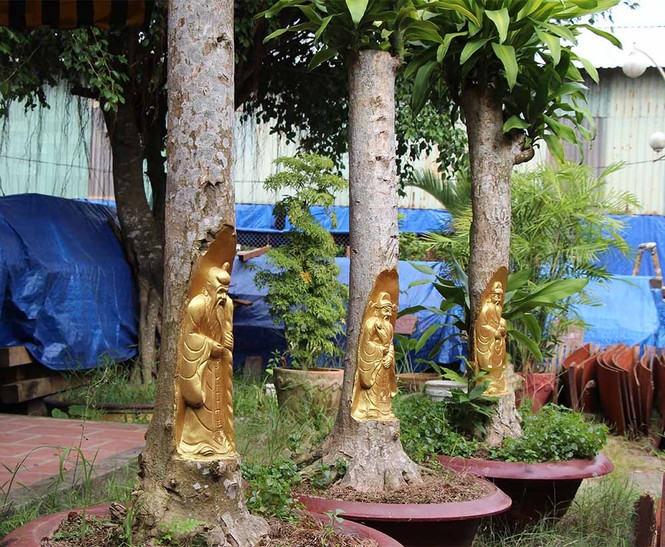 Kỳ lạ Miền Tây: Tượng Phật Di Lặc hiện hình trên cây khế già - ảnh 2