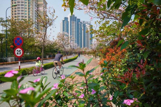 Hồ Tây: Chốn an cư lý tưởng của ngoại kiều - ảnh 1