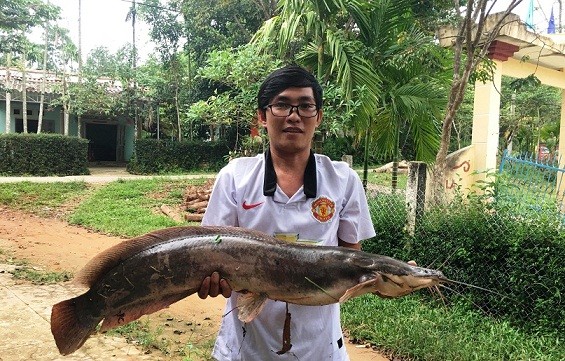 Cần thủ kể chuyện vật lộn tóm cá trê 'khủng' dài 1m, nặng gần 10kg - ảnh 1