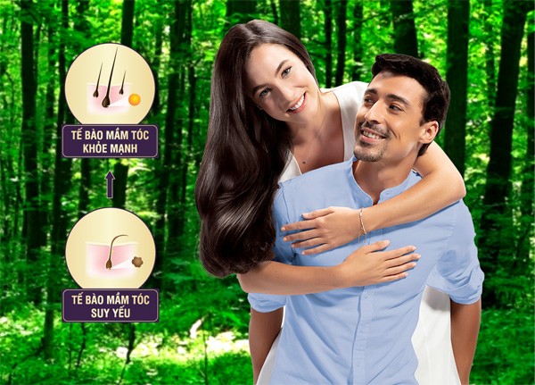 Tế bào mầm tóc: Đột phá mới trong điều trị rụng tóc, hói đầu - ảnh 2