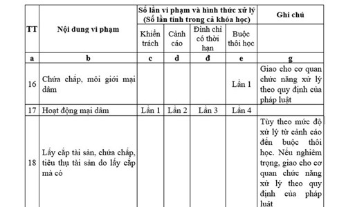 Sinh viên sư phạm nói gì về quy định bán dâm 4 lần bị đuổi học - ảnh 1