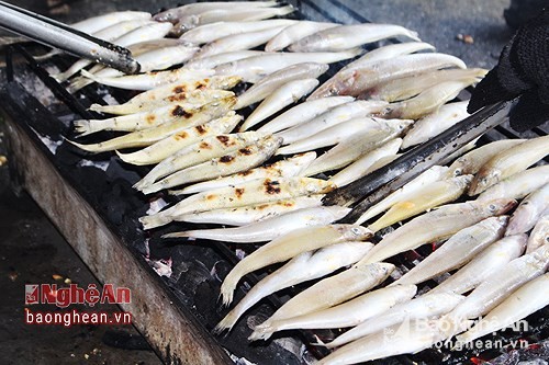 Đi 'săn' loài cá bé tí, khó bắt, kiếm cả triệu đồng mỗi ngày - ảnh 3