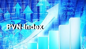 Bộ chỉ số PVN-Index: Tin cậy, chuẩn mực quốc tế - ảnh 1