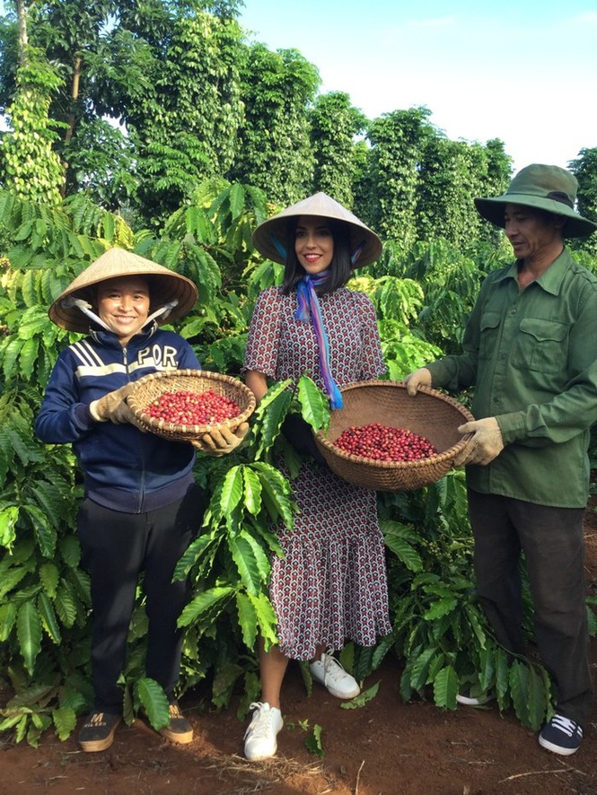 NESCAFÉ tự hào quảng bá cà phê Việt ra thế giới - ảnh 1