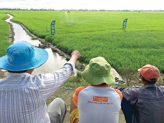 Làm nông thời 4:0 - ảnh 3