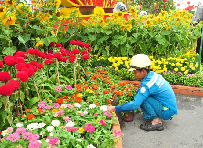 Những người âm thầm làm đẹp đường hoa Cần Thơ - ảnh 5