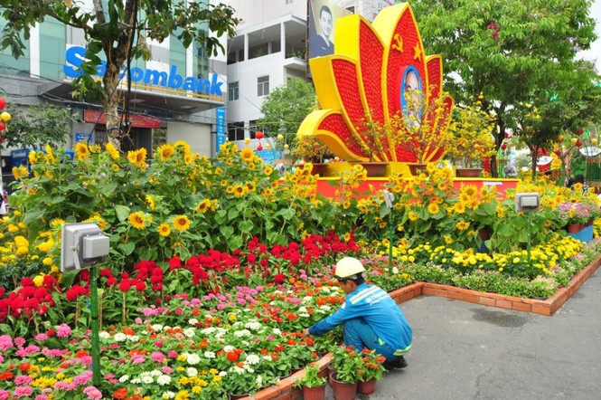 Những người âm thầm làm đẹp đường hoa Cần Thơ - ảnh 8