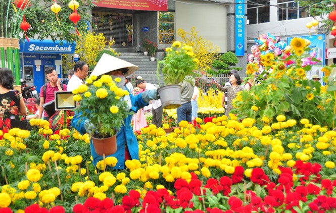 Những người âm thầm làm đẹp đường hoa Cần Thơ - ảnh 10