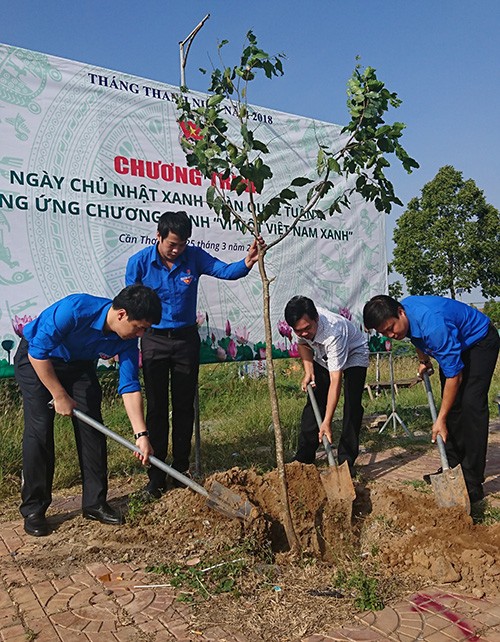 Nhiều hoạt động ý nghĩa Ngày Chủ nhật Xanh ở Cần Thơ - ảnh 4